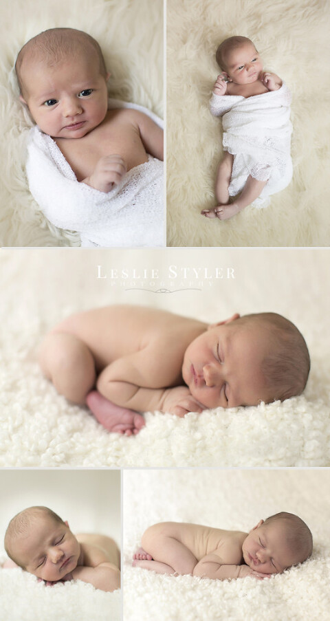 Roe newborn | Phoenix newborn photographer - Leslie Styler Photography
